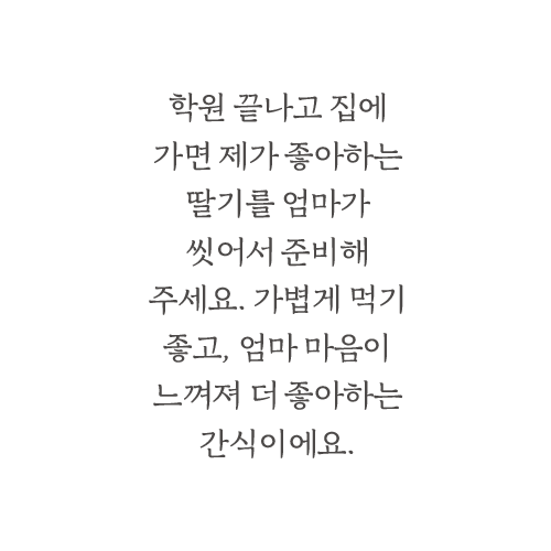 딸기 감상문