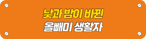 낮과 밤이 바뀐 올빼미 생활자 타이틀 이미지